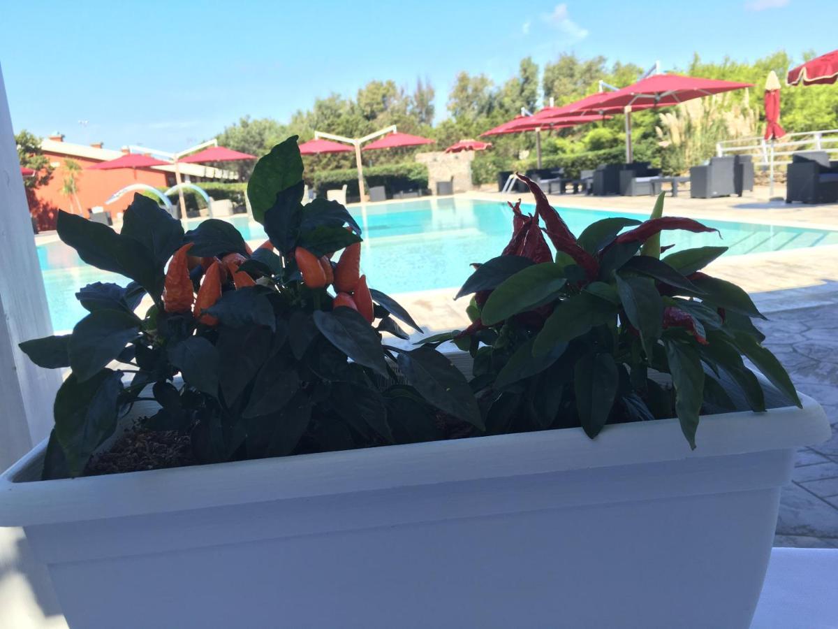 Club Esse Sporting Hotel Стинтино Екстериор снимка